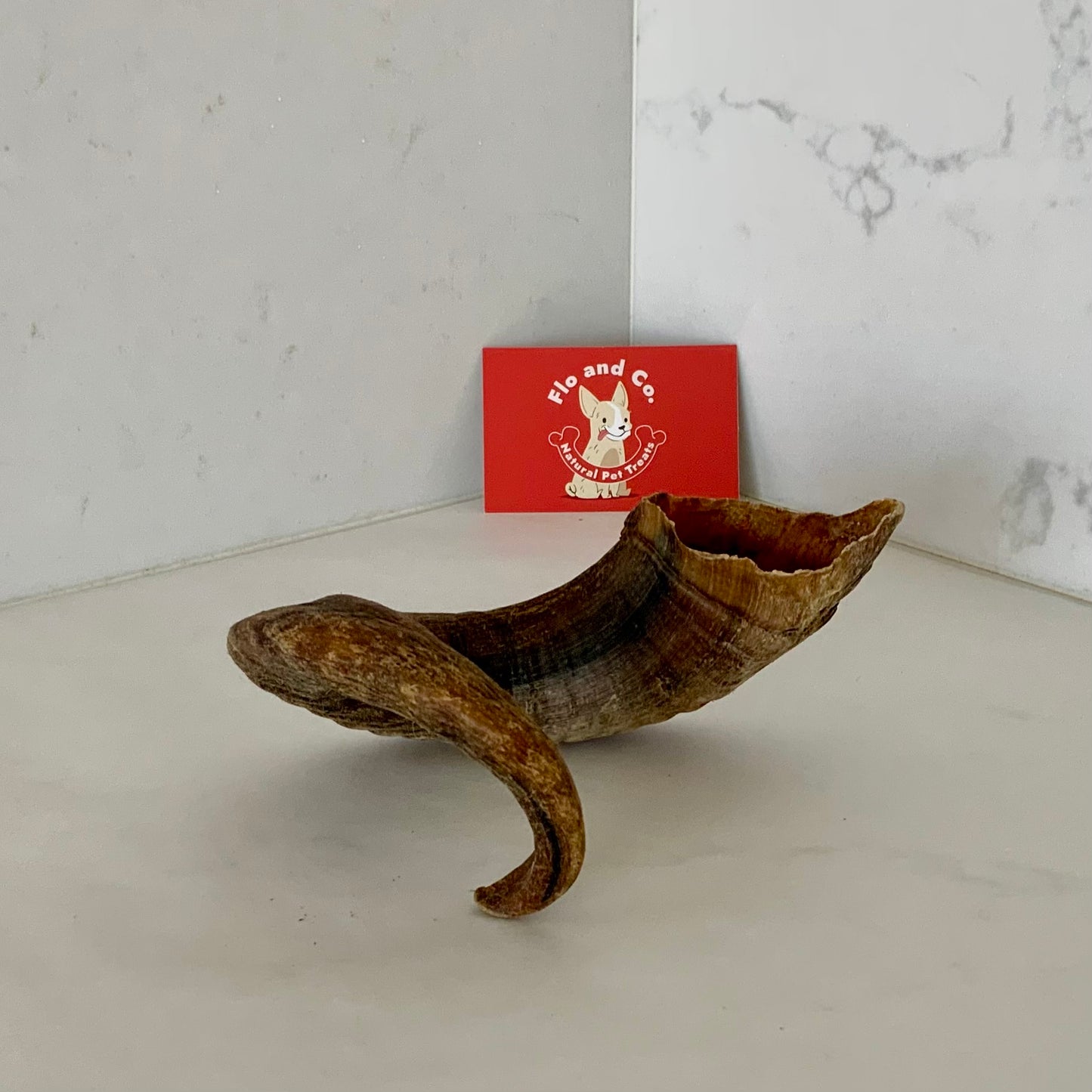 Lamb Horn