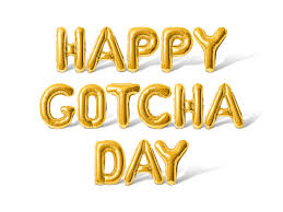 Duke and Lukes Gotcha Day Bundles