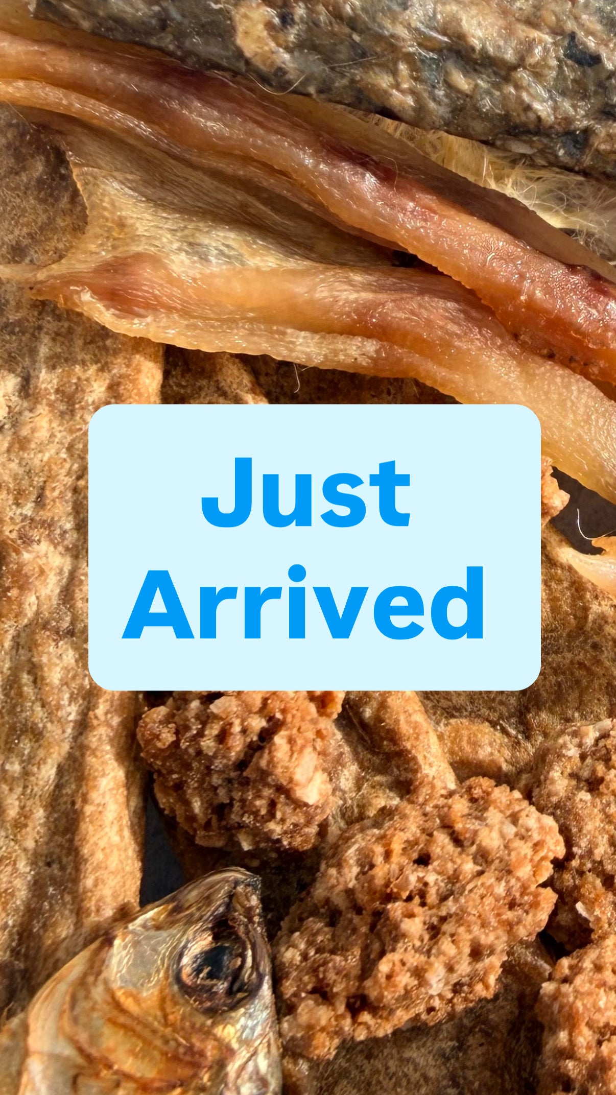 Amazing New Products