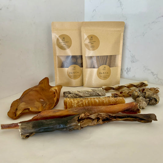 Duke and Luke’s Back to School Bundles