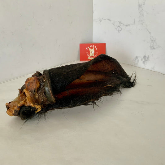 Cow Ears - with hair